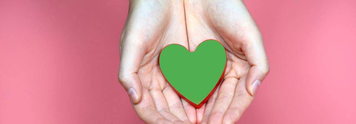 Due mani tengono un cuore verde